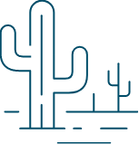 Desert Botanical Garden