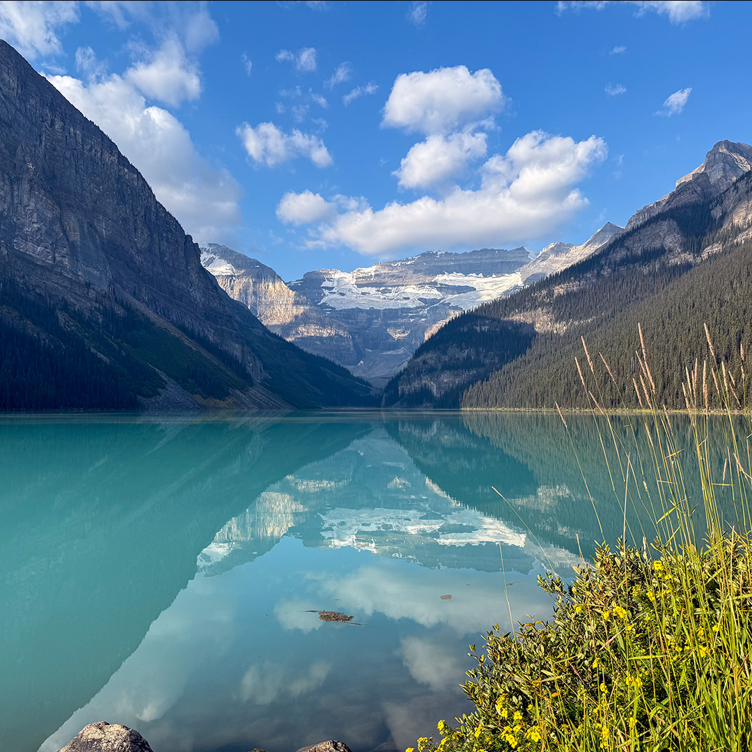 Turquoise glacial lake nestled in a valley with snow-capped mountains and a blue sunny sky, foreground wildflowers and reeds. Compare reflection of peaks on calm water.