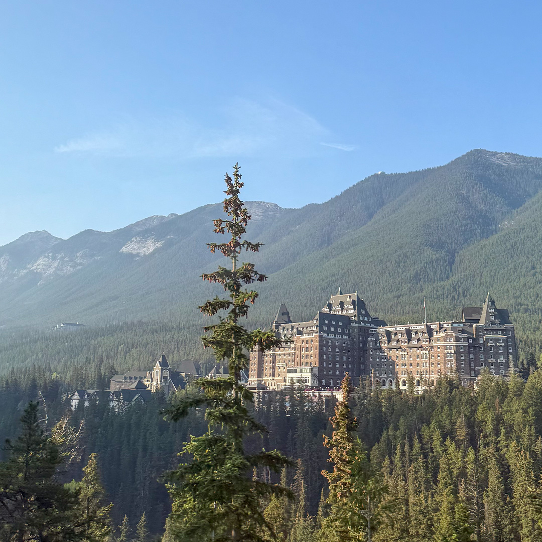 Castle-like hotel nestled among pine trees with rugged mountains in the background, under a clear blue sky.